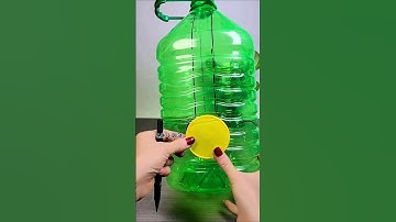 Never Throw Old Bottles #shortsvideo