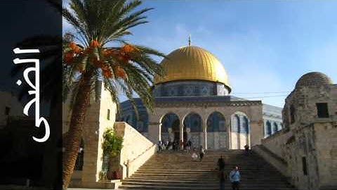 سورة الضحى شيرزاد عبدالرحمن طاهر - Surah Ad-Dhuhaa Shirazad Taher