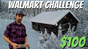 $100 Walmart Survival Challenge - A Friend Bet Me $1,000 I Couldn