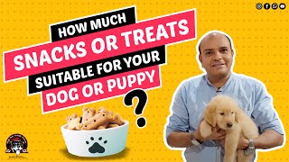 How much Snacks or Treats are Suitable for your Dogs & Puppies? Training Treats | Baadal Bhandaari