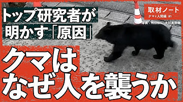 【解明】クマの話は、日本の構造問題だった（小池伸介/ツキノワグマ/ヒグマ/出没/捕獲/駆除）