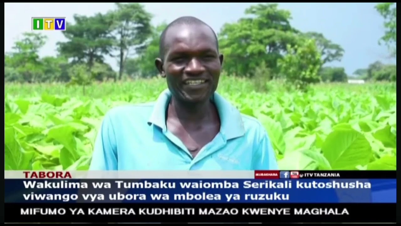 wakulima wa Tumbaku Tabora