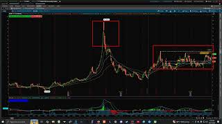 Focus on Risk