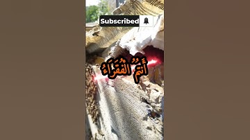 الآية 15 من سورة فاطر