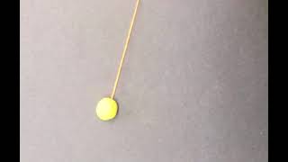 Celebrity pendulum Wealth