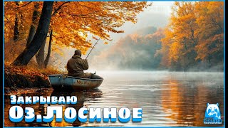 рр4 _ оз. Лосиное в поисках новой картинки