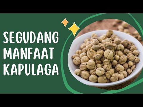 Kapulaga Buat Masak Apa Saja
