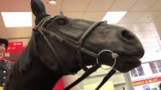 ROBOT HORSES KENTUCKY DERBY HITS JAPAN TOKYO STATION JERSEYMEETSJAPAN WEIRD