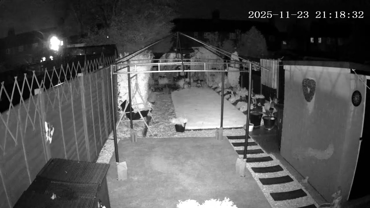 (23/11/2025) 21:17pm HULL (Uk) BYC [0259]