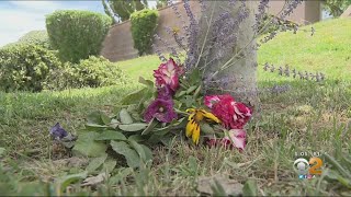 Woman Walking Dog Killed After Pursuit Ends In Crash In Palmdale; 6 Teens Detained