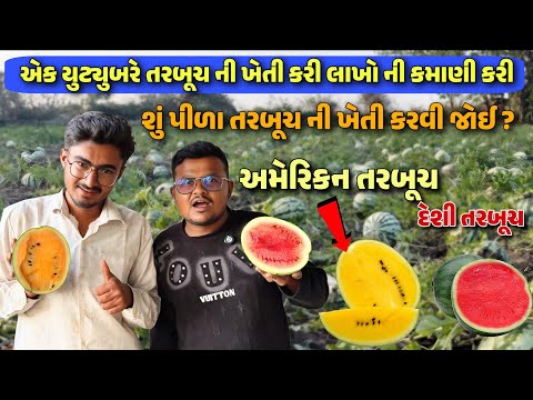 એક યુટ્યુબરે તરબૂચ ની ખેતી કરી લાખો ની કમાણી કરી 🔥 / શું પીળા તરબૂચ ની ખેતી કરવી જોઈએ ?