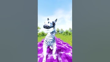 INSPECT BEST ZOOCHOSIS vs ZOONOMALY MONSTERS in Garrys Mod #shorts #zoonomaly #funny #scary