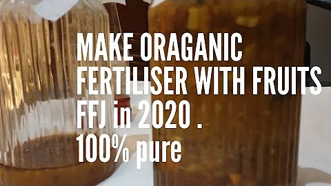 #How to make# Fermented Fruit juice # FFJ# 100 % pure organic fertiliser at home in 2020 .Easy/quick