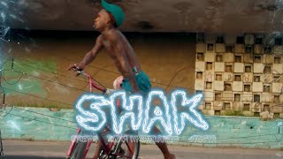 Skeng, Kaka, Jigsta - Shak (LYRICS)