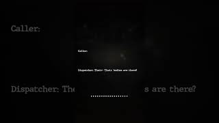 Dylon Peterson Disturbing 911 Call Information