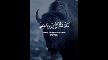 سورة لقمان الآيه( ١١) #الشيخ ياسر الدوسري