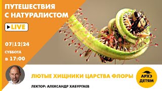Занятие "Лютые хищники царства Флоры" рубрики "Путешествия с натуралистом" с Александром Хабургаевым Видео: Занятие "Лютые хищники царства Флоры" рубрики "Путешествия с натуралистом" с Александром Хабургаевым