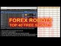 Forex Free Robot