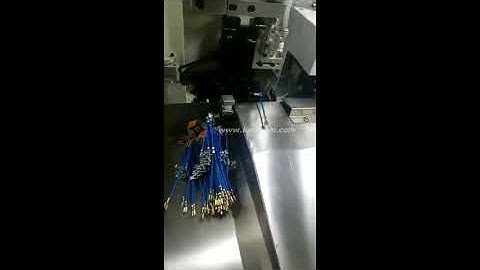 Fully Automatic Wire 2-head Crimping Machine, Automatic Cable Double-side Terminal Crimping Machine