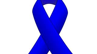 Case Study | The Blue Ribbons