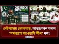 সীমান্ত পেরিয়ে এবার পাকিস্তানেও তুমুল ঝড় তুলেছে ‘ককরোচ আওয়ামি লীগ’ দল | Cockroach Party | NEWS24