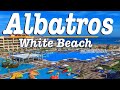 Hotel Albatros White Beach Resort - Hurghada | Hotel Restaurants & Bars | Egypt [ULTRA HD]