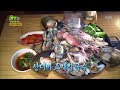 화제의 맛집 산더미 조개칼국수 [2TV 생생정보] 20200420