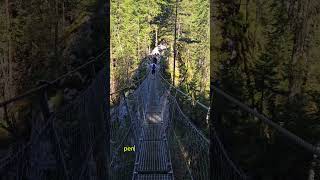 Traseu Cheile Bicajelului