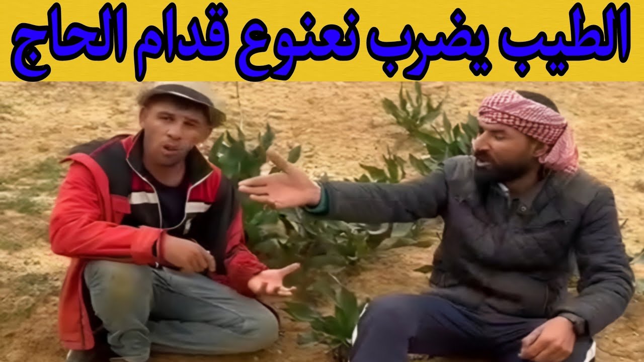 جديد نعنوع والحاج Na3nou3 w lhadj |  #نعنوع_والحاج_جديد💰🤑#يوميات_نعنوع_والحاج 💲#سلسلة_نعنوع_والحاج