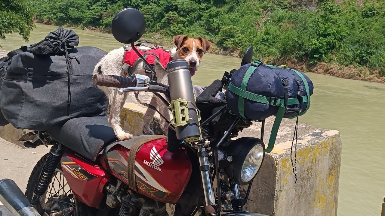 Solo moto camp with Paloma at Zonio camp