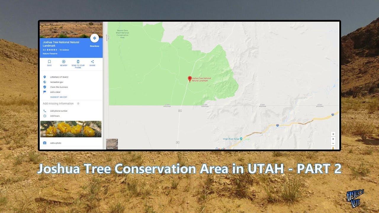 Joshua Tree Conservation Area in Utah - Part 2