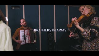 Video thumbnail of "Hayde Bluegrass Orchestra - Brothers In Arms (Dire Straits Cover) | The Anti-War Sessions"