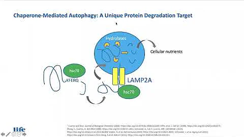 Targeting Aging Biology to treat aging related diseases  by Joan Mannick
