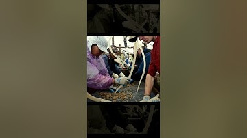 DPAA Recovery Team Member Talks Vietnam Mission #shorts