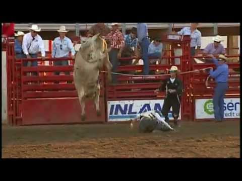 Vídeo: Cómo Ser Un Jinete De Toros En La Estampida De Calgary - Matador Network