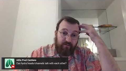 Charles Hoskinson on Can hydra heads channels talk with each other