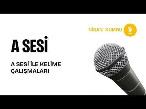 12D - A SESİNİN KULLANILDIĞI KELİMELER LİSTESİ-2