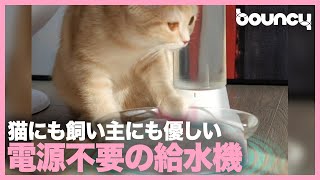 猫にも飼い主にも最適！電源要らずの給水機「KittySpring」