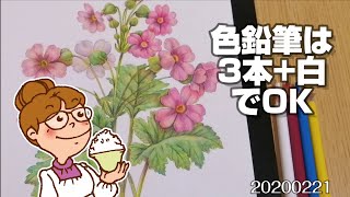 画材買物、脳活性化、大人の塗り絵、 色鉛筆選び！認知症予防、節約生活2020221