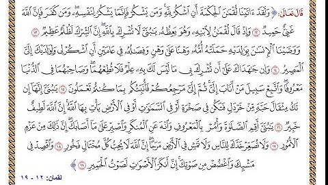 سورة لقمان - من الآية ١٢ الى ١٩ - مشاري العفاسي