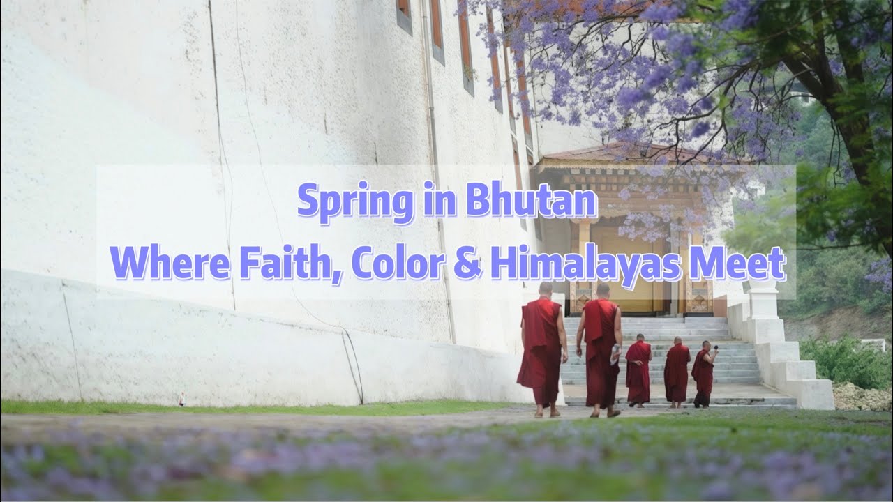 Весна в Бутане — место встречи веры, красок и Гималаев.