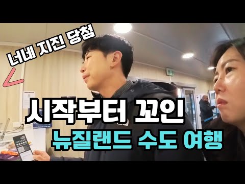지진 때문에 기차 취소! 그런데 비행기까지 놓친 대환장 뉴질랜드 수도 웰링턴 여행기