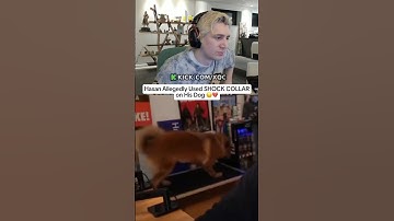 Hasan Allegedly Used a SHOCK COLLAR on His Dog While On Stream 😔💔 #kick #clips #xqc #hasan