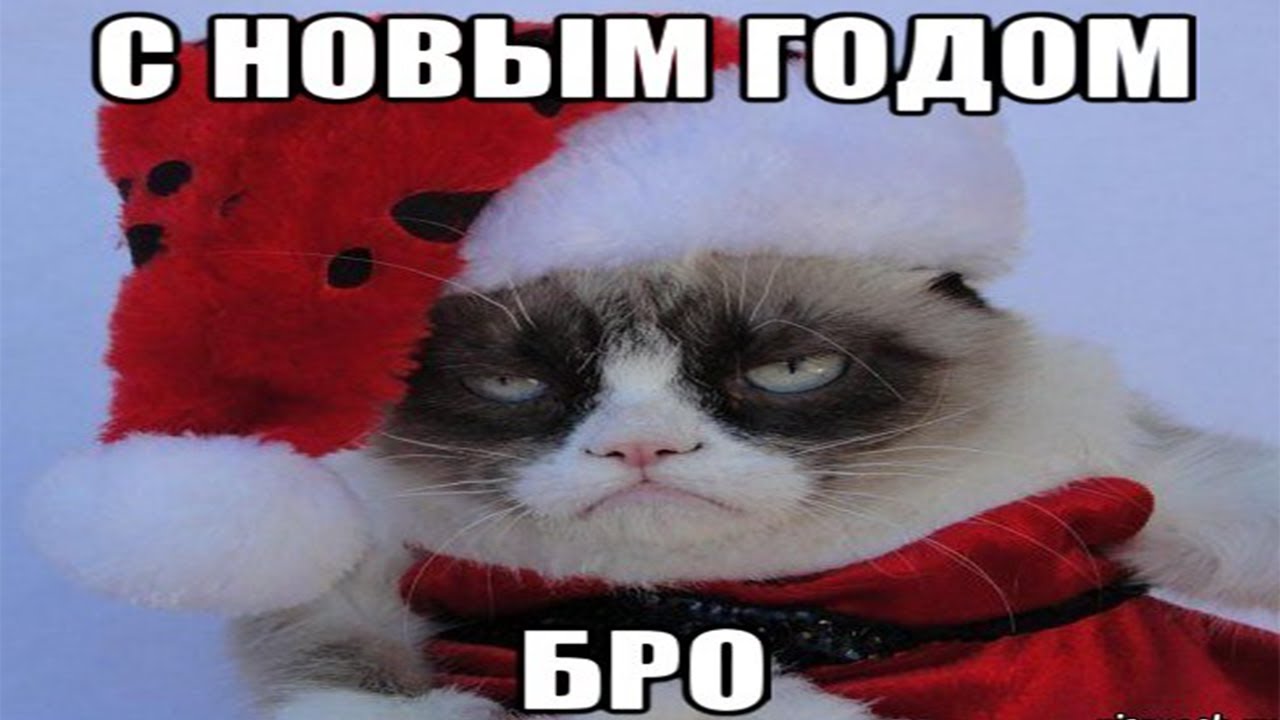 Богдан любит какиш мем