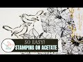 Confused About How to Use Acetate? Getting the Best Results Stamping on Acetate Sheets