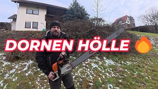 3M Dornenhölle Vs. 1M Kettensäge 2 Stunden Kampf Im Zeitraffer