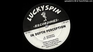 In Depth Perception - Entropy