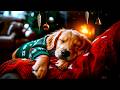 12 Hours Deep Sleep Dog Music 🐶💤 Ultra Calm & Soothing Sounds 💖 Anxiety Relief for Puppies 💤 No Ads