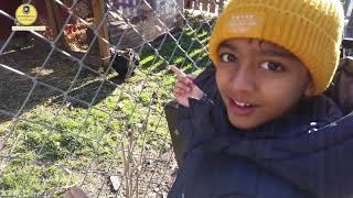 Childrens Organic Animal Farm Oslo Explore Norway Daily Vlog 146