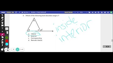 Module 11 Study Guide Part 2